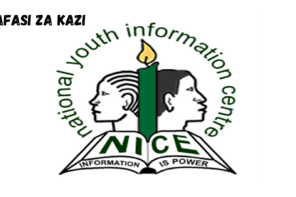 Data Officer at National Youth Information Centre (NICE) 2024