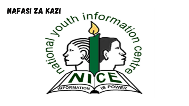 Data Officer at National Youth Information Centre (NICE) 2024