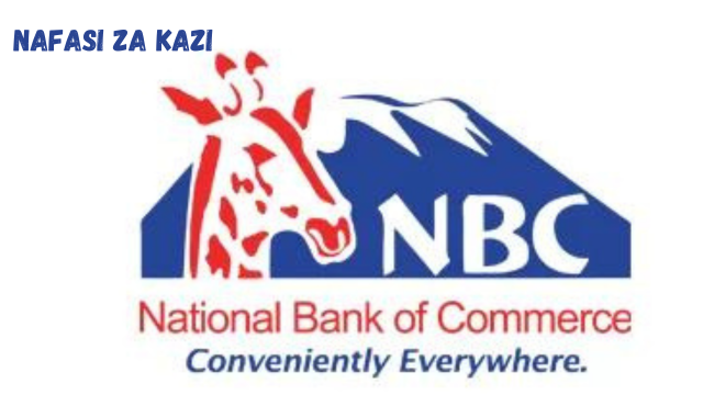 Debt Credit Analyst at NBC February 2024