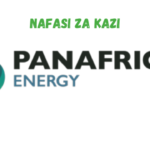 Downstream Assistant Maintenance Supervisor at PanAfrican Energy February 2024