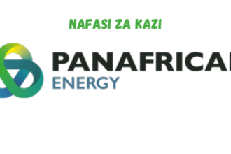 Downstream Assistant Maintenance Supervisor at PanAfrican Energy February 2024