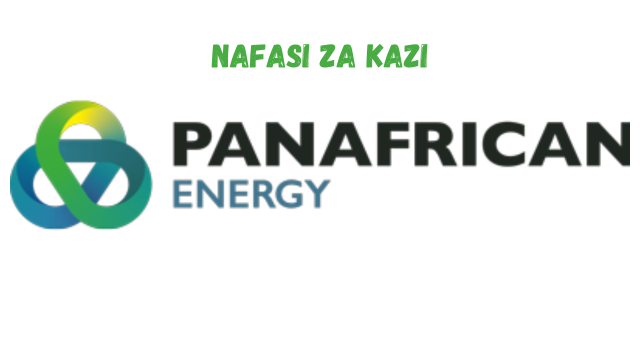 Downstream Assistant Maintenance Supervisor at PanAfrican Energy February 2024