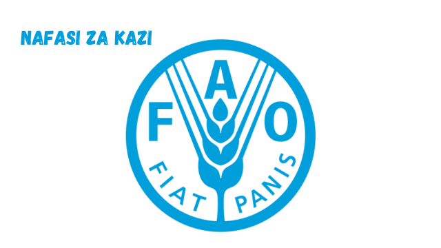 Driver (STREPHIT) at FAO February 2024