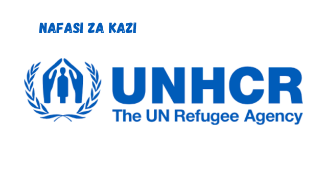 Driver at UNHCR February 2024