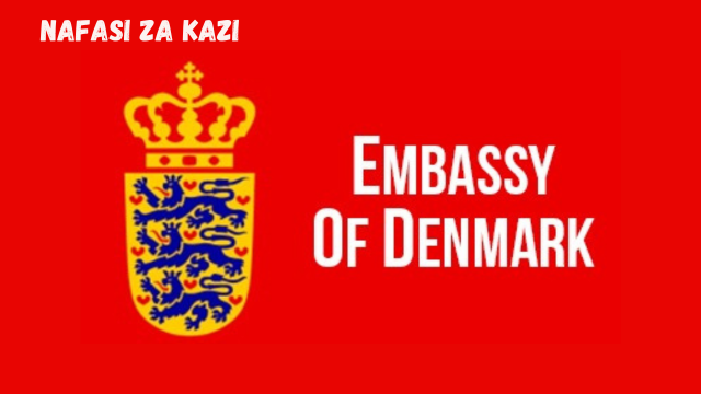 Embassy Of Denmark Vacancies February 2024   Embassy Of Denmark Vacancies February 2024 