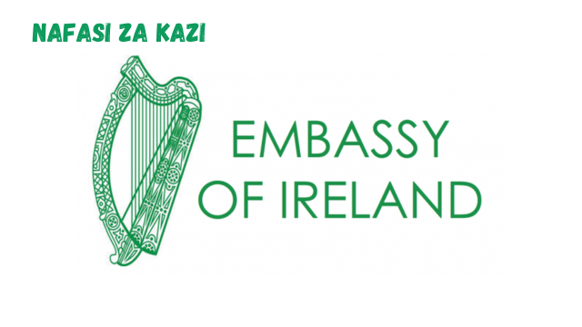 Executive Housekeeper at Embassy of Ireland February 2024