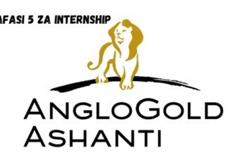 Geita Gold Mizning Ltd (GGML) Internship Vacancies 2024