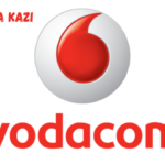 HOD: Customer Experience Systems at Vodacom February 2024