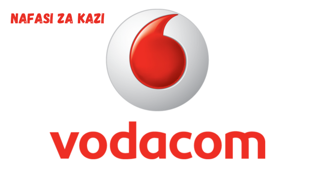 HOD: Customer Experience Systems at Vodacom February 2024