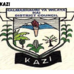 Hai District Council Job Vacancies February 2024