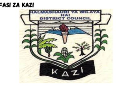 Hai District Council Job Vacancies February 2024