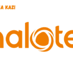 Halotel Tanzania Vacancies February 2024