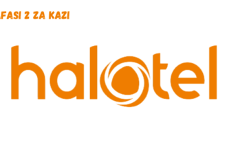 Halotel Tanzania Vacancies February 2024