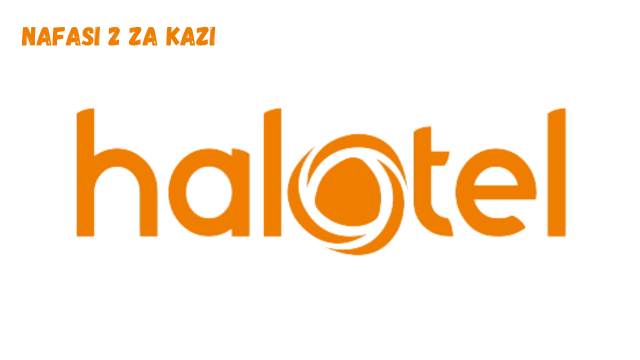 Halotel Tanzania Vacancies February 2024