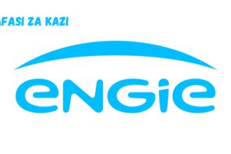 Head BD minigrids & SHS wholesale at ENGIE 2024