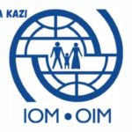 IOM Tanzania Vacancies 2024