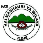 Ileje District Council Vacancies February 2024