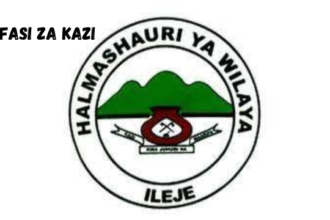 Ileje District Council Vacancies February 2024