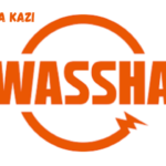 Information System Officer at WASSHA INC February 2024