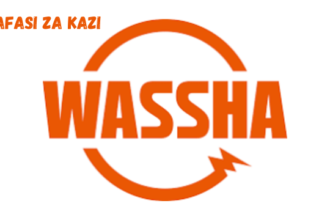 Information System Officer at WASSHA INC February 2024