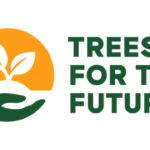 Invitation For Bids at Trees for the future February 2024