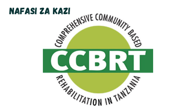 Junior Human Resource Business partner at CCBRT February 2024