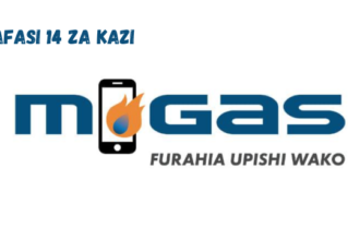 M-Gas Vacancies February 2024