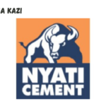 Maintenance Engineer-Mechanical at Lake Cement Limited February 2024