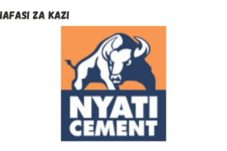 Maintenance Engineer-Mechanical at Lake Cement Limited February 2024