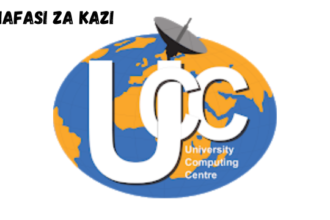 Managing Director at University of Dar es Salaam Computing Centre (UCC) February 2024