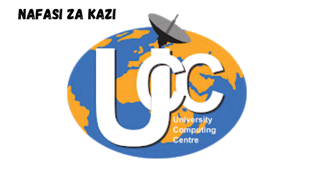 Managing Director at University of Dar es Salaam Computing Centre (UCC) February 2024
