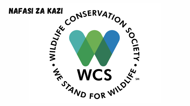 Marine Research Assistant at WCS February 2024