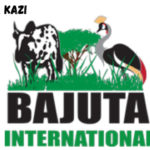 Marketing Manager at Bajuta International (T) LTD February 2024