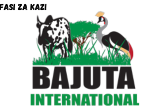 Marketing Manager at Bajuta International (T) LTD February 2024