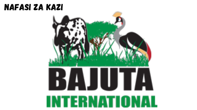 Marketing Manager at Bajuta International (T) LTD February 2024