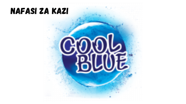Mecanical Engineer at Cool Blue February 2024