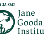 Motor Vehicle Drivers (6) at Jane Goodall Institute February 2024