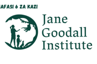 Motor Vehicle Drivers (6) at Jane Goodall Institute February 2024