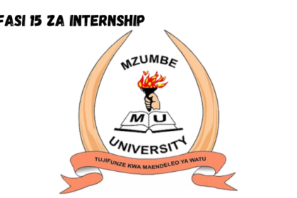 Mzumbe University (MU) Internship Vacancies 15 Posts SAFA project February 2024