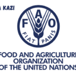 National Coordinator at FAO February, 2024