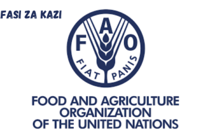 National Coordinator at FAO February, 2024