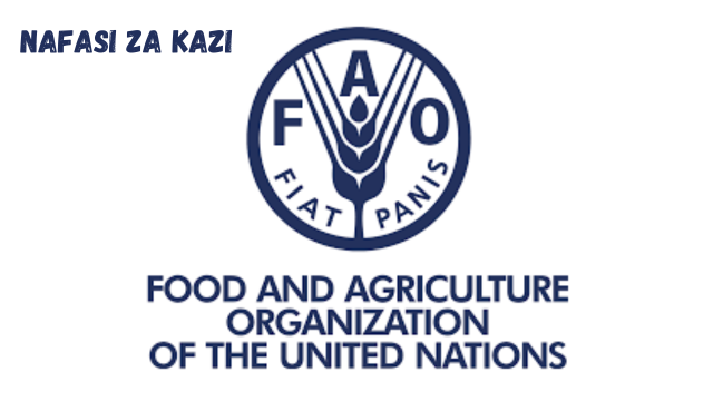 National Coordinator at FAO February, 2024