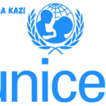 National consultant at UNICEF February 2024