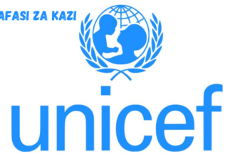 National consultant at UNICEF February 2024