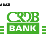 Network Operation Center (NOC) Analyst (4 post) at CRDB Bank February 2024