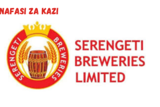 Packaging Engineer at Serengeti Breweries Limited (SBL) 2024