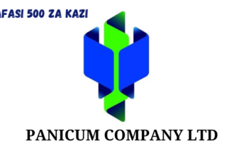 Panicum Company Ltd Vacancies February 2024