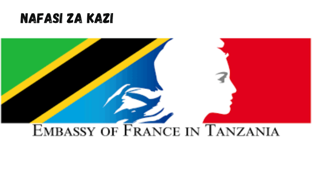 Press and Media Officer at Embassy of France February 2024