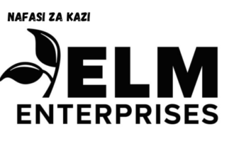 Principal Officer at ELM Enterprises co. ltd February 2024