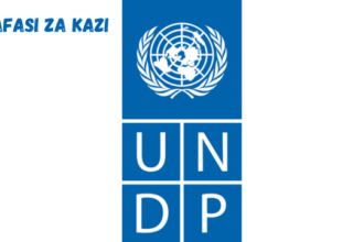 Programme Assistant Vacancies at UNDP 2024